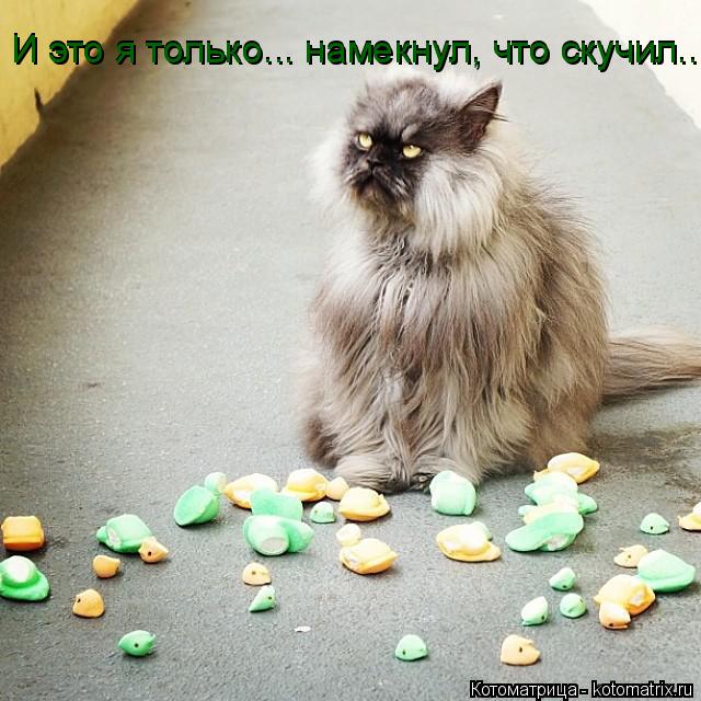 Котоматрица: И это я только... намекнул, что скучил...  И это я только... намекнул, что скучил...