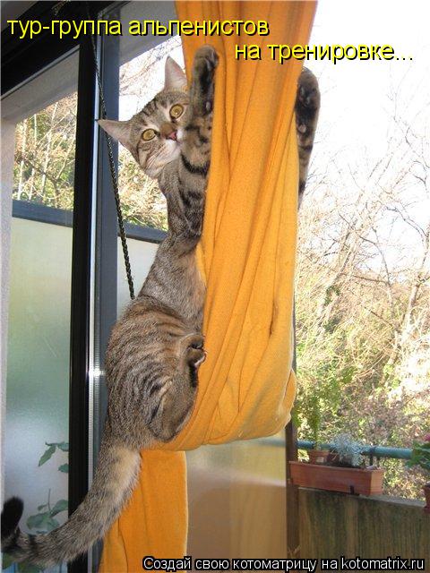 Котоматрица: тур-группа альпенистов  на тренировке...
