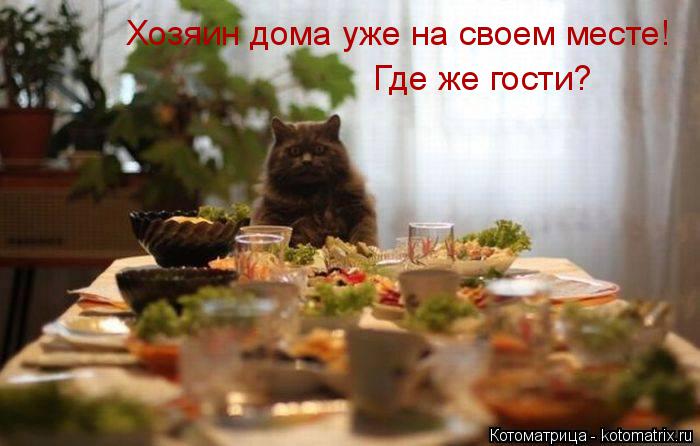 Котоматрица: Хозяин дома уже на своем месте! Где же гости?