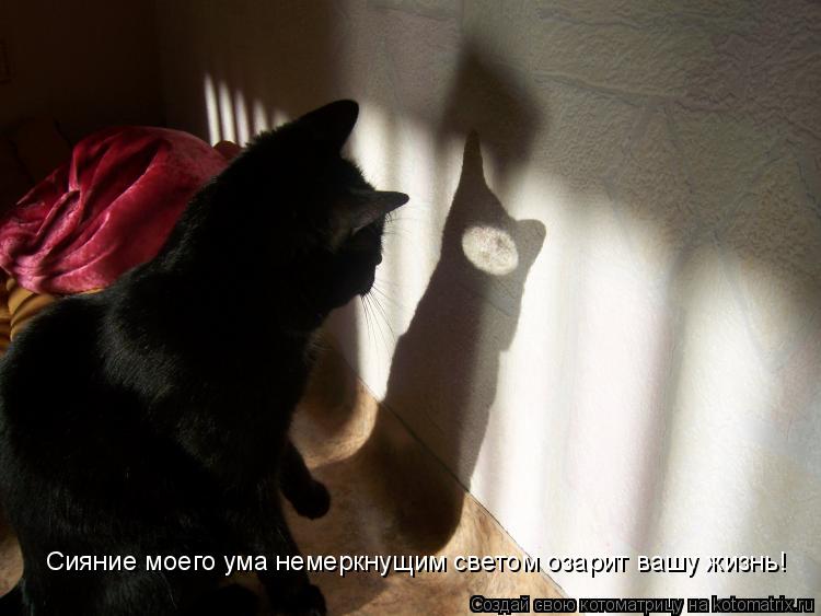 Сияние моего ума немеркнущим светом озарит вашу жизнь!... Котоматрица: Сияние моего ума немеркнущим светом озарит вашу жизнь!