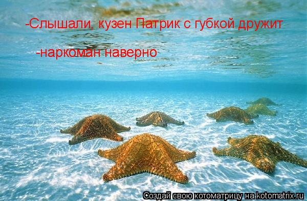 Котоматрица: -Слышали, кузен Патрик с губкой дружит -Слышали, кузен Патрик с губкой дружит -наркоман наверно -наркоман наверно -наркоман наверно