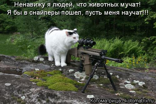 Котоматрица: Ненавижу я людей, что животных мучат! Я бы в снайперы пошел, пусть меня научат!!!