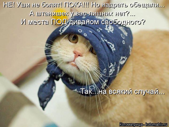 НЕ! Уши не болят! ПОКА!!! Но надрать обещали... А штанишек у вас лишних нет?... И места ПОД диваном с... Котоматрица: НЕ! Уши не болят! ПОКА!!! Но надрать обещали... А штанишек у вас лишних нет?... И места ПОД диваном свободного? Так...на всякий случай...