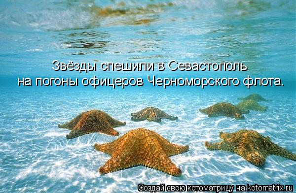 Котоматрица: Звёзды спешили в Севастополь на погоны офицеров Черноморского флота.