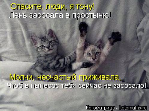 Котоматрица: Спасите, люди, я тону! Лень засосала в простыню! Молчи, несчастый приживала, Чтоб в пылесос тебя сейчас не засосало!