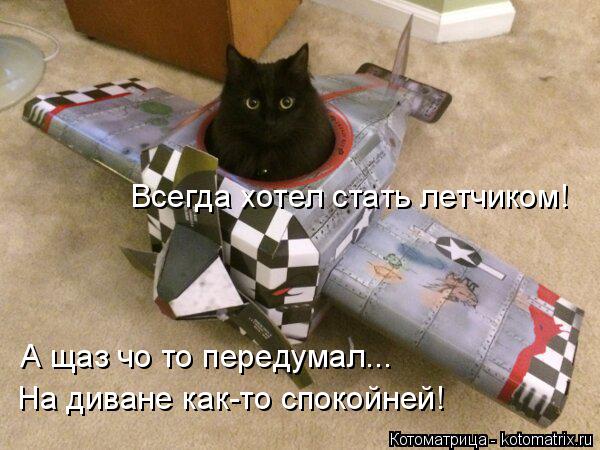 Котоматрица: Всегда хотел стать летчиком! а щаз чо то передумал... А щаз чо то передумал... На диване как-то спокойней!