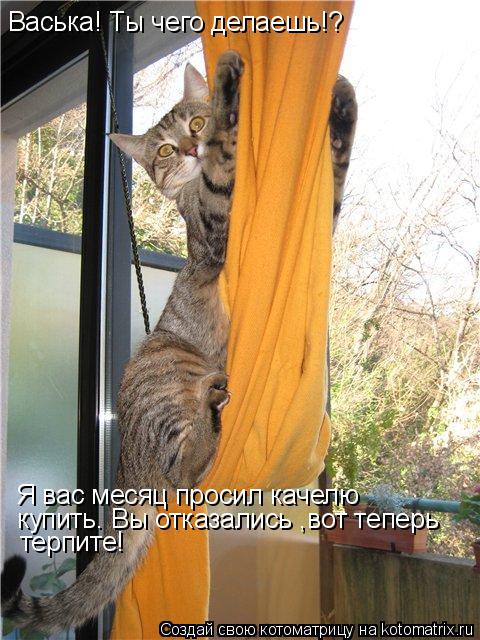 Котоматрица: Васька! Ты чего делаешь!? Я вас месяц просил качелю  купить. Вы отказались ,вот теперь  терпите!