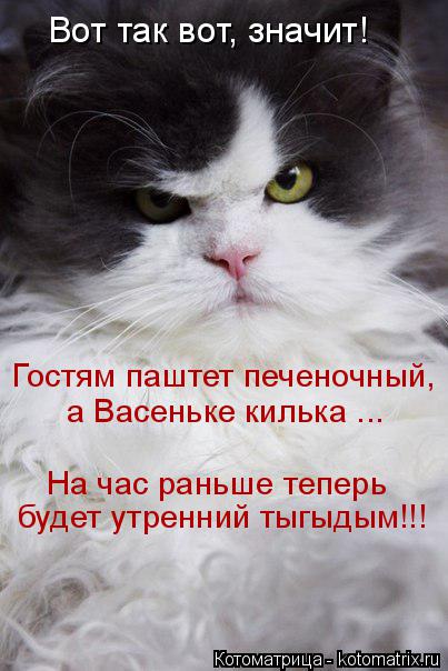 Котоматрица: Вот так вот, значит! Гостям паштет печеночный,  а Васеньке килька ... На час раньше теперь будет утренний тыгыдым!!!