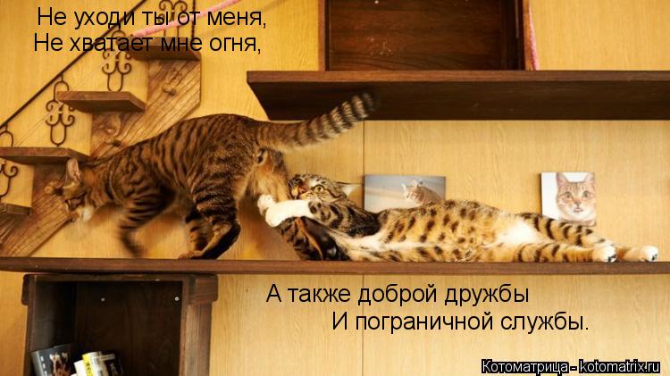 Котоматрица: Не уходи ты от меня, Не хватает мне огня, А также доброй дружбы И пограничной службы.