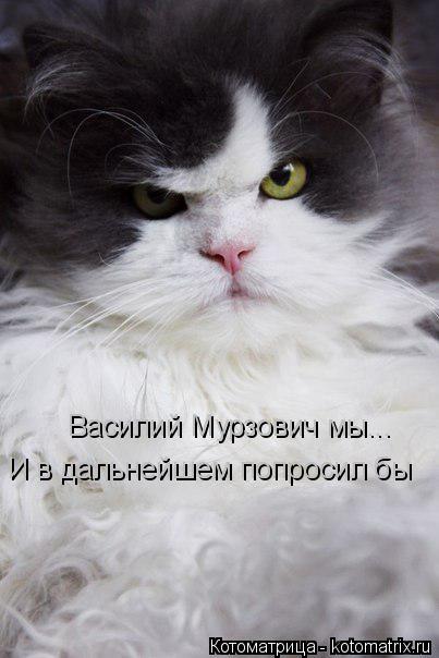 Котоматрица: Василий Мурзович мы... И в дальнейшем попросил бы