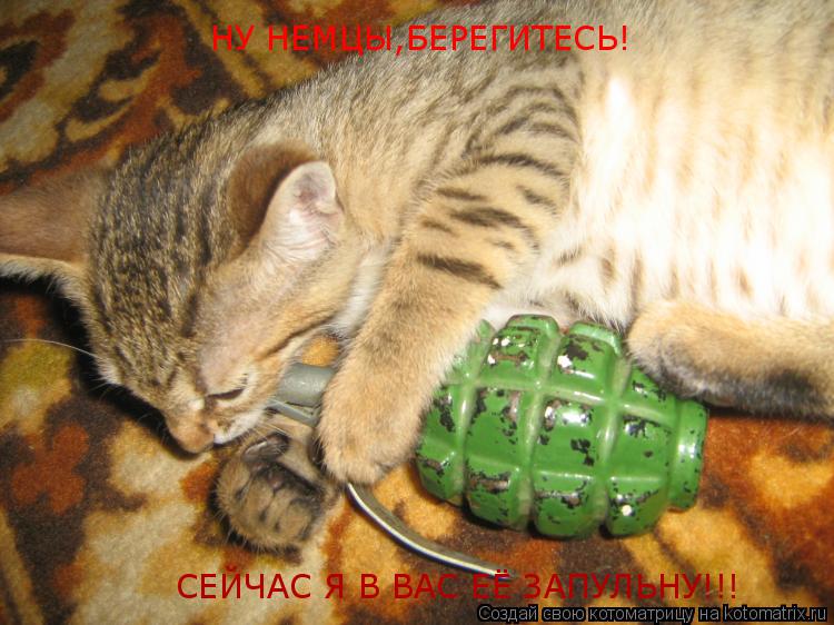 Котоматрица: НУ НЕМЦЫ,БЕРЕГИТЕСЬ! СЕЙЧАС Я В ВАС ЕЁ ЗАПУЛЬНУ!!!