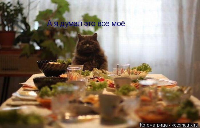 Котоматрица: А я думал это всё моё
