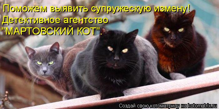 Поможем выявить супружескую измену! Детективное агентство "МАРТОВСКИЙ КОТ".... Котоматрица: Поможем выявить супружескую измену! Детективное агентство "МАРТОВСКИЙ КОТ".