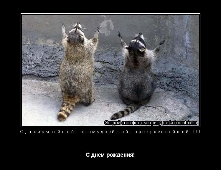 О, наиумнейший, наимудрейший, наикрасивейший!!!! С днем рождения!... Котоматрица: О, наиумнейший, наимудрейший, наикрасивейший!!!! С днем рождения!