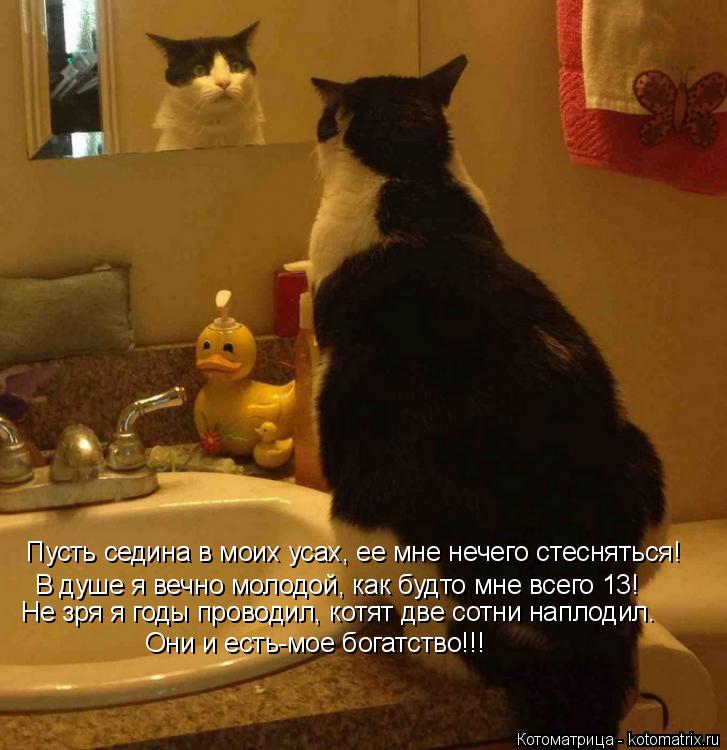 Котоматрица: Пусть седина в моих усах, ее мне нечего стесняться! В душе я вечно молодой, как будто мне всего 13! Они и есть-мое богатство!!! Не зря я годы пров