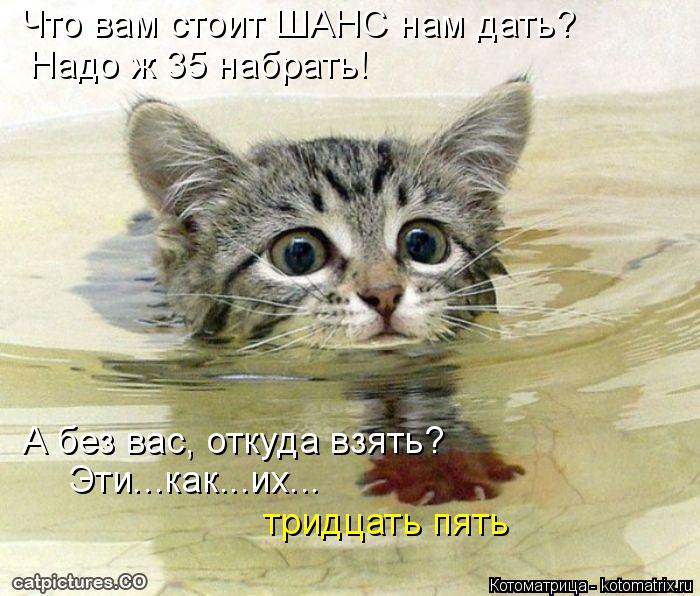 Что вам стоит ШАНС нам дать? Надо ж 35 набрать! А без вас, откуда взять? Эти...как...их... тридцать п... Котоматрица: Что вам стоит ШАНС нам дать? Надо ж 35 набрать! А без вас, откуда взять? Эти...как...их... тридцать пять