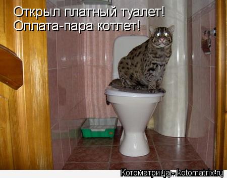 Котоматрица: Открыл платный туалет! Оплата-пара котлет!