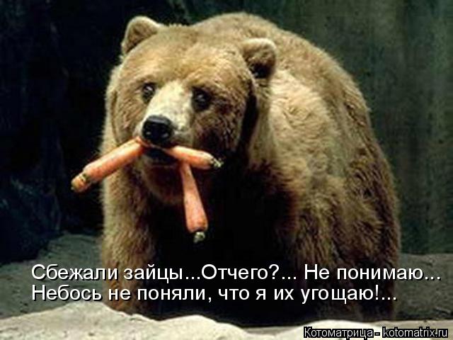 Сбежали зайцы...Отчего?... Не понимаю... Небось не поняли, что я их угощаю!...... Котоматрица: Сбежали зайцы...Отчего?... Не понимаю... Небось не поняли, что я их угощаю!...