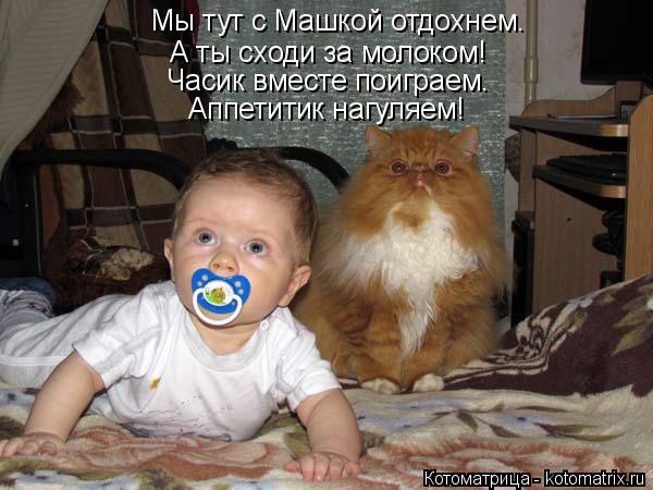 Котоматрица: Мы тут с Машкой отдохнем. А ты сходи за молоком! Часик вместе поиграем. Аппетитик нагуляем!