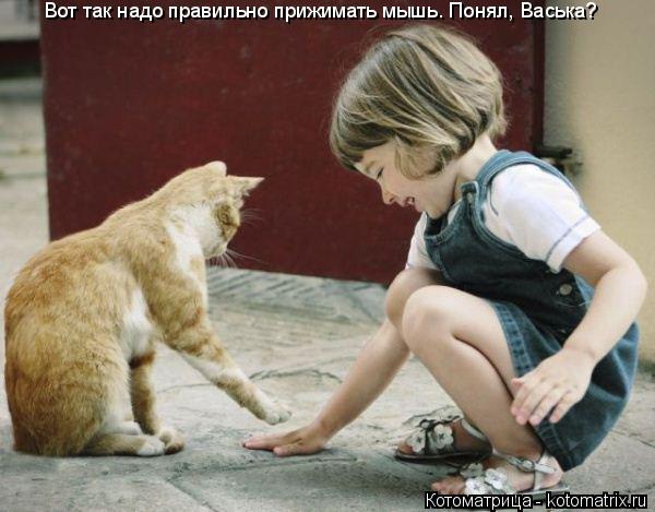 Котоматрица: Вот так надо правильно прижимать мышь. Понял, Васька?