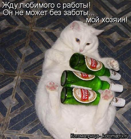 Котоматрица: Жду любимого с работы! Он не может без заботы... мой хозяин!