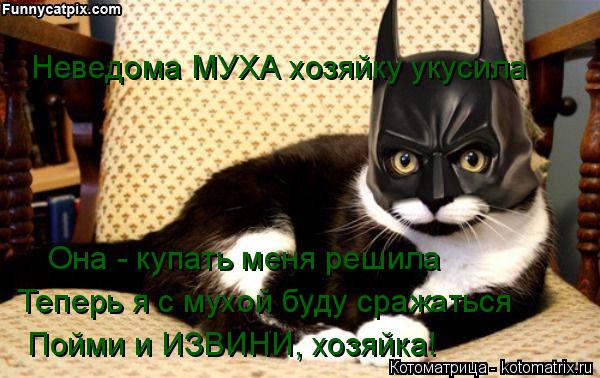 Неведома МУХА хозяйку укусила Она - купать меня решила Теперь я с мухой буду сражаться Пойми и ИЗВИ... Котоматрица: Неведома МУХА хозяйку укусила Она - купать меня решила Теперь я с мухой буду сражаться Пойми и ИЗВИНИ, хозяйка!