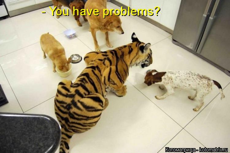 - You have problems?... Котоматрица: - You have problems?