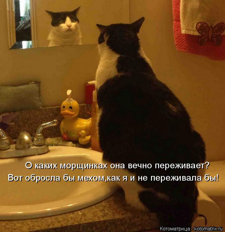 Котоматрица: О каких морщинках она вечно переживает? Вот обросла бы мехом,как я и не переживала бы!