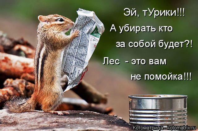 Котоматрица: Эй, тУрики!!! А убирать кто Лес  - это вам не помойка!!! за собой будет?!