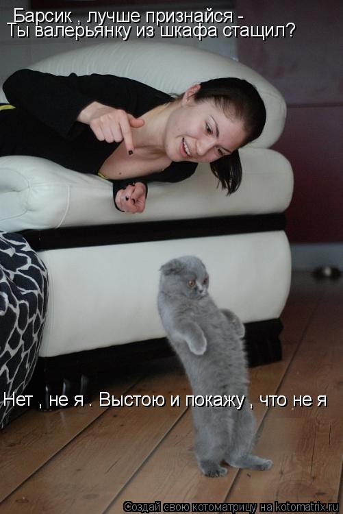 Котоматрица: Барсик , лучше признайся -  Ты валерьянку из шкафа стащил? Нет , не я . Выстою и покажу , что не я Нет , не я . Выстою и покажу , что не я