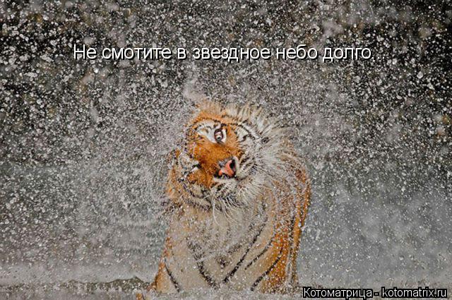 Котоматрица: Не смотите в звездное небо долго...