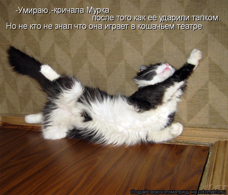 -Умираю ,-кричала Мурка после того как её ударили тапком . Но не кто не знал что она играет в кошачье... Котоматрица: -Умираю ,-кричала Мурка после того как её ударили тапком . Но не кто не знал что она играет в кошачьем театре