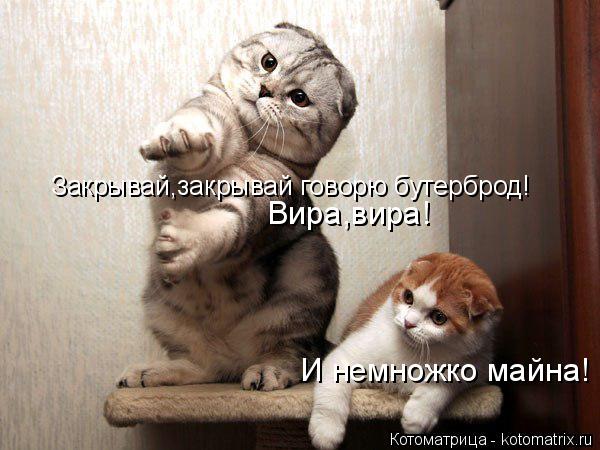 Котоматрица: Закрывай,закрывай говорю бутерброд! Вира,вира! И немножко майна!