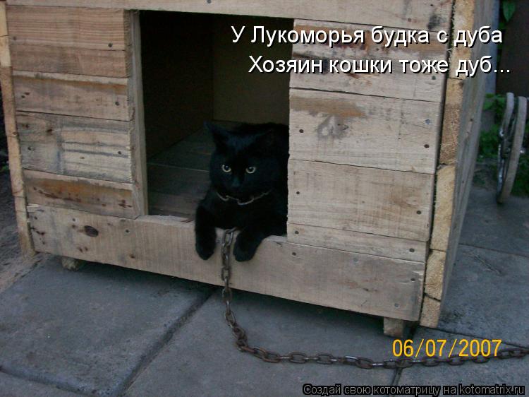 Котоматрица: У Лукоморья будка с дуба Хозяин кошки тоже дуб...