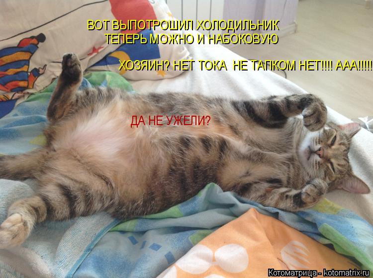 ДА НЕ УЖЕЛИ? ВОТ ВЫПОТРОШИЛ ХОЛОДИЛЬНИК ТЕПЕРЬ МОЖНО И НАБОКОВУЮ ХОЗЯИН? НЕТ ТОКА НЕ ТАПКОМ НЕТ!!!!... Котоматрица: ДА НЕ УЖЕЛИ? ВОТ ВЫПОТРОШИЛ ХОЛОДИЛЬНИК ТЕПЕРЬ МОЖНО И НАБОКОВУЮ ХОЗЯИН? НЕТ ТОКА НЕ ТАПКОМ НЕТ!!!! ААА!!!!!!!!