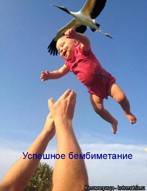 Успешное бембиметание... Котоматрица: Успешное бембиметание