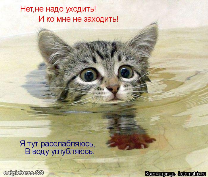 Котоматрица: Нет,не надо уходить! И ко мне не заходить! Я тут расслабляюсь, В воду углубляюсь.