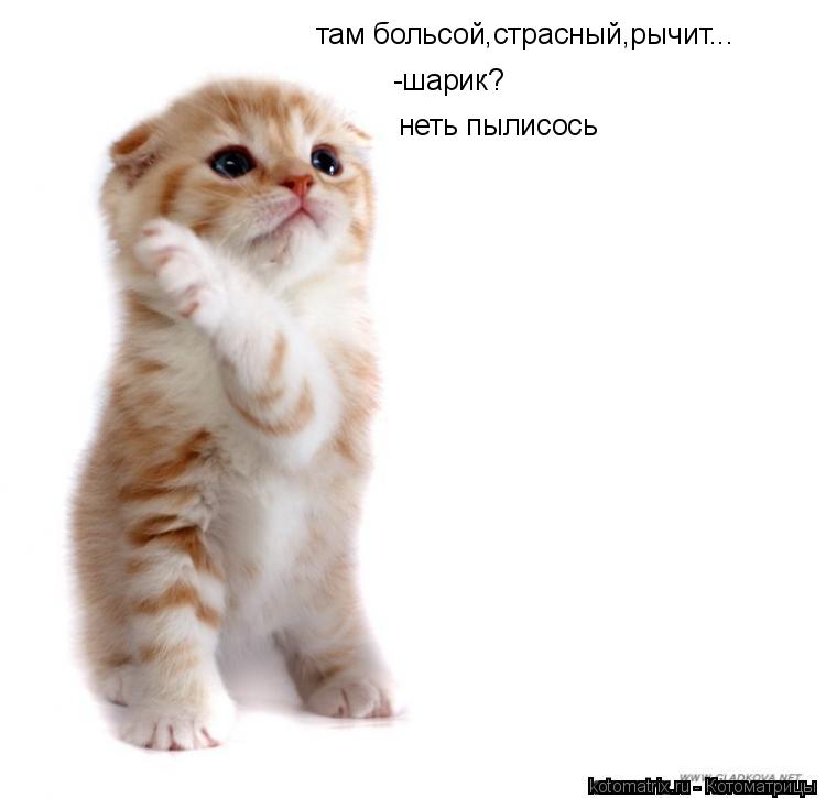 там больсой,страсный,рычит... -шарик? неть пылисось... Котоматрица: там больсой,страсный,рычит... -шарик? неть пылисось