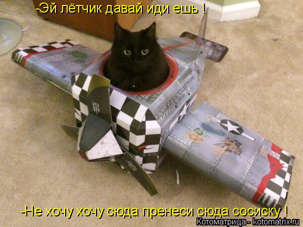 Котоматрица: -Эй лётчик давай иди ешь ! -Не хочу хочу сюда пренеси сюда сосиску !