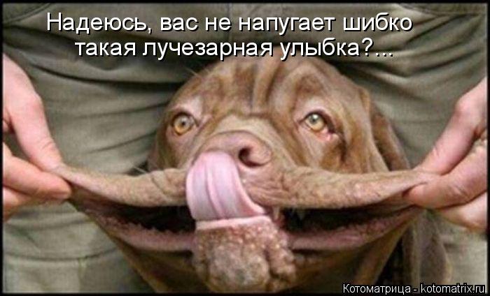 Надеюсь, вас не напугает шибко такая лучезарная улыбка?...... Котоматрица: Надеюсь, вас не напугает шибко такая лучезарная улыбка?...