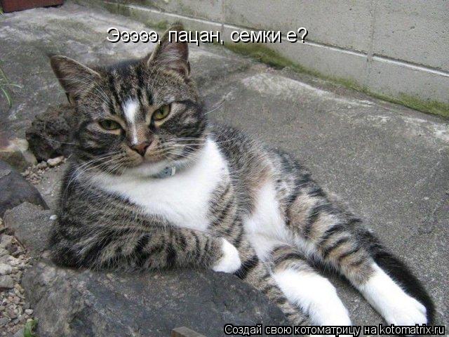 Эээээ, пацан, семки е?... Котоматрица: Эээээ, пацан, семки е?