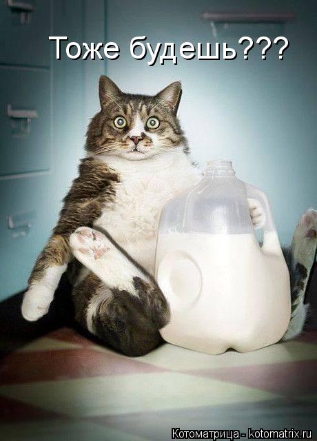 Тоже будешь???... Котоматрица: Тоже будешь???