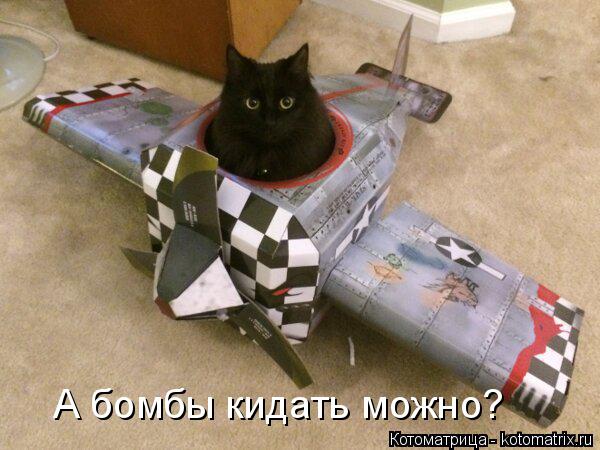 Котоматрица: А бомбы кидать можно?