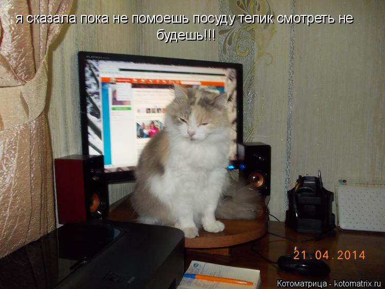 Котоматрица: я сказала пока не помоешь посуду телик смотреть не будешь!!!