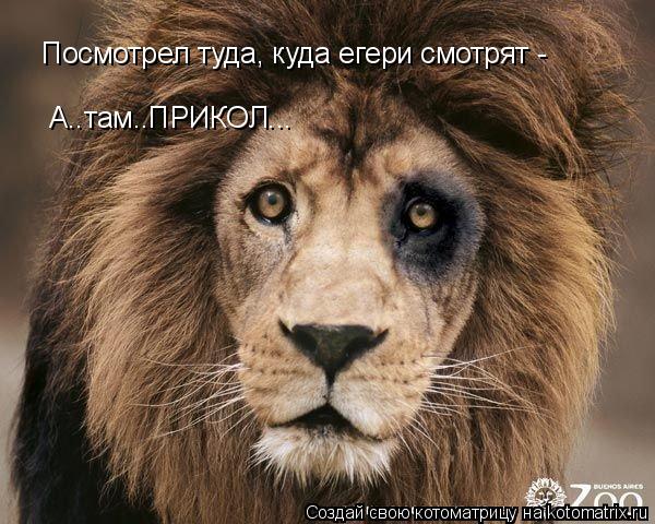 Посмотрел туда, куда егери смотрят - А..там..ПРИКОЛ...... Котоматрица: Посмотрел туда, куда егери смотрят - А..там..ПРИКОЛ...