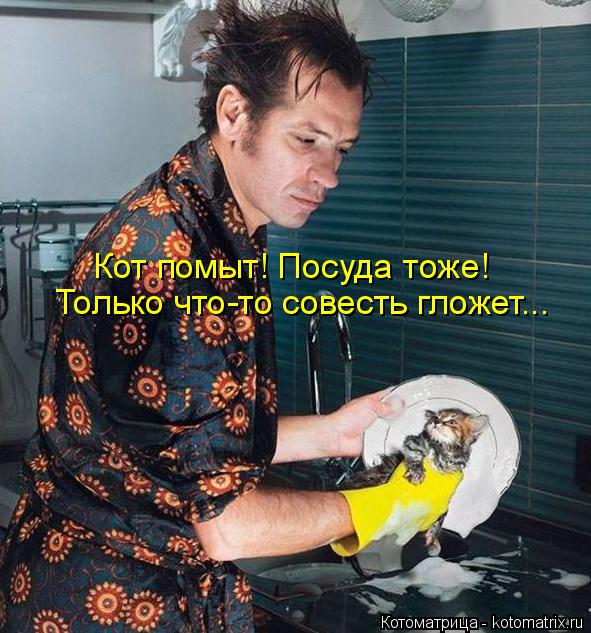 Кот помыт! Посуда тоже! Только что-то совесть гложет...... Котоматрица: Кот помыт! Посуда тоже! Только что-то совесть гложет...