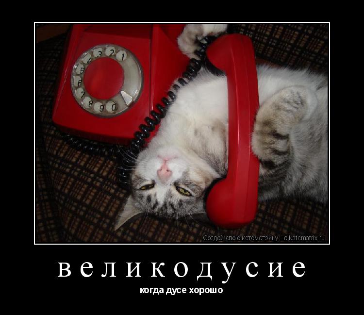 Котоматрица: великодусие когда дусе хорошо