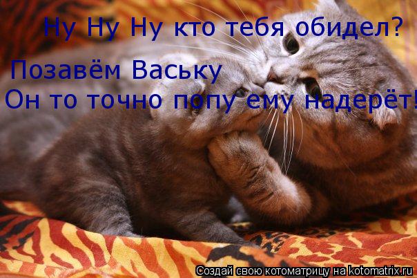 Ну Ну Ну кто тебя обидел? Позавём Ваську Он то точно попу ему надерёт!... Котоматрица: Ну Ну Ну кто тебя обидел? Позавём Ваську Он то точно попу ему надерёт!