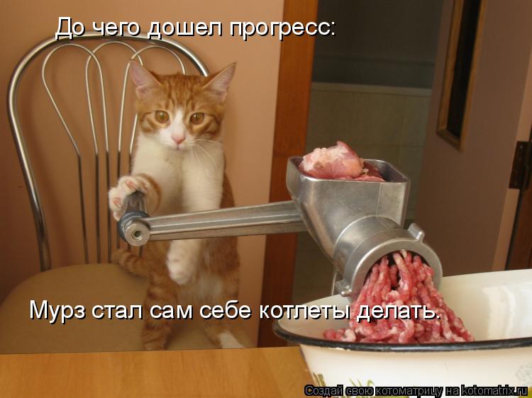 До чего дошел прогресс: Мурз стал сам себе котлеты делать.... Котоматрица: До чего дошел прогресс: Мурз стал сам себе котлеты делать.