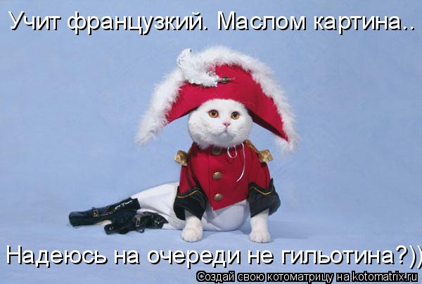 Учит французкий. Маслом картина.. Надеюсь на очереди не гильотина?))... Котоматрица: Учит французкий. Маслом картина.. Надеюсь на очереди не гильотина?))